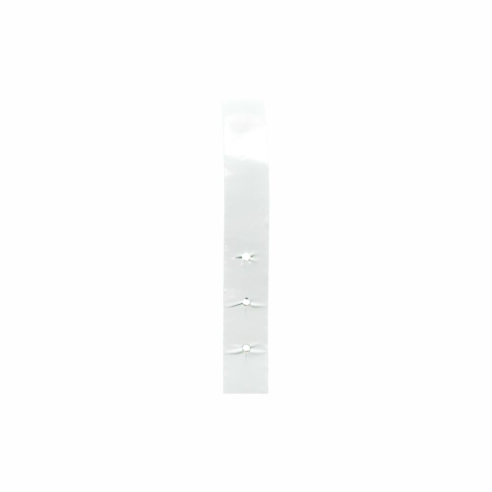 Spring 2001 White Patent Leather Belt with Gold-Tone Logo Buckle - Chanel