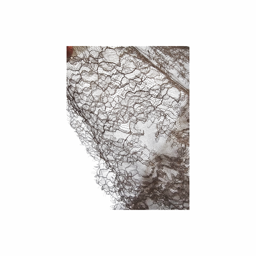 Floral Sheer Lace Sleeveless Top - Kaon