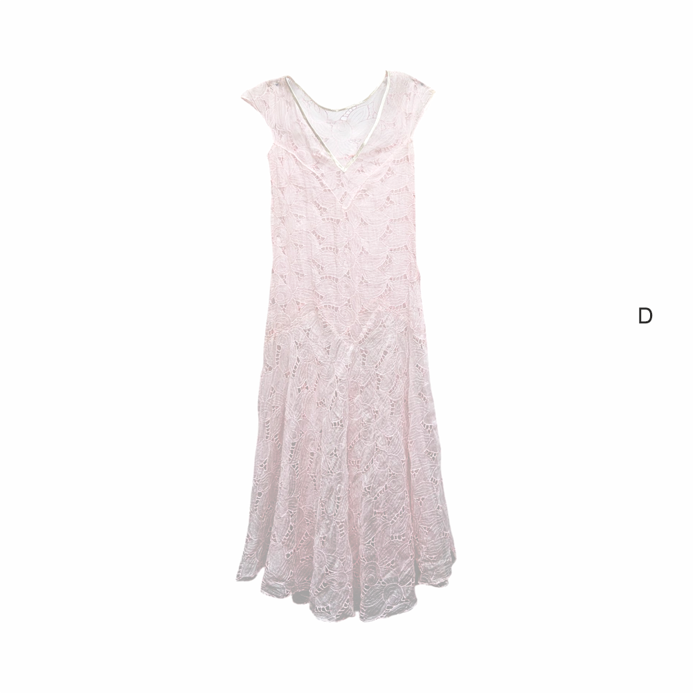 Vintage Neo Romantic Sheer Emrbroidered Dress - Re:Velvet