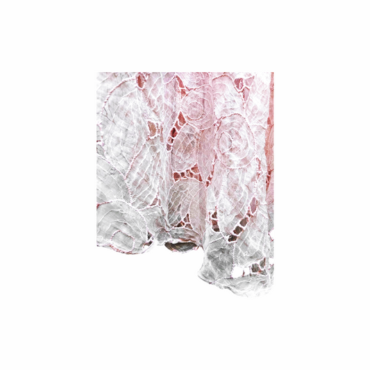 Vintage Neo Romantic Sheer Emrbroidered Dress - Re:Velvet