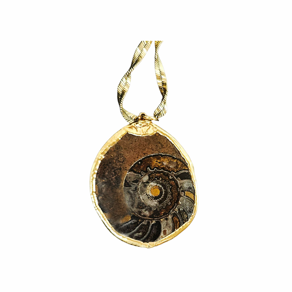 Vintage Ammonite Fossil Pendant Necklace with Twisted Gold-Tone Chain