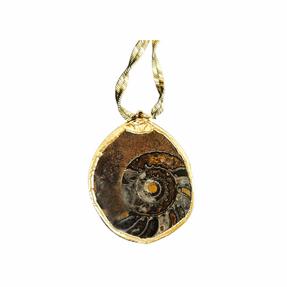 Vintage Ammonite Fossil Pendant Necklace with Twisted Gold-Tone Chain