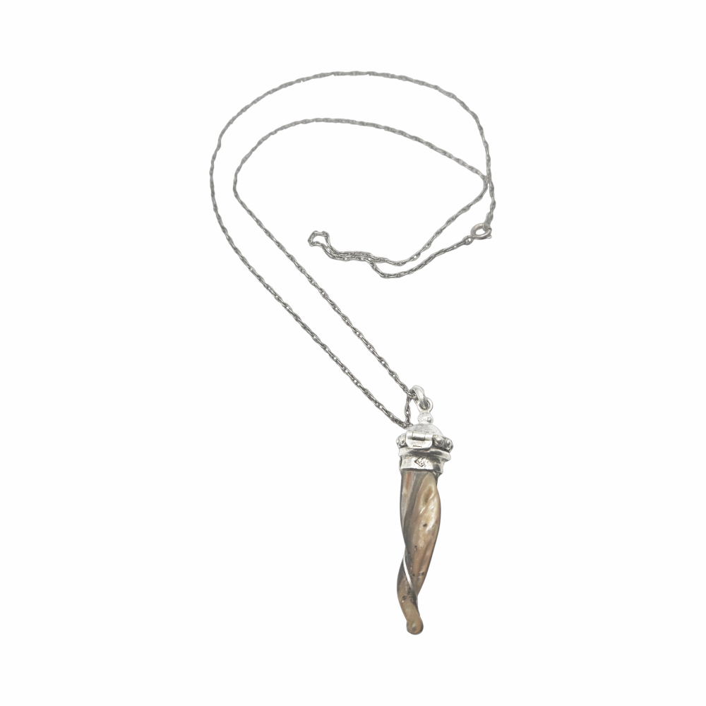 Back of vintage horn-shaped shell pendant necklace with silver mount
