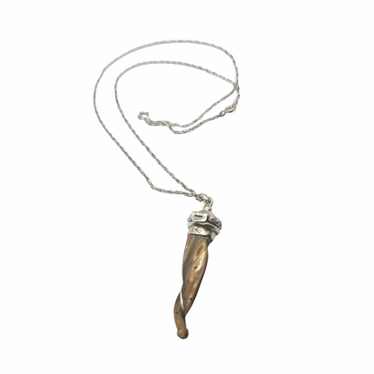 Vintage Silver Abalone Shell Scent Bottle Locket Pendant Necklace