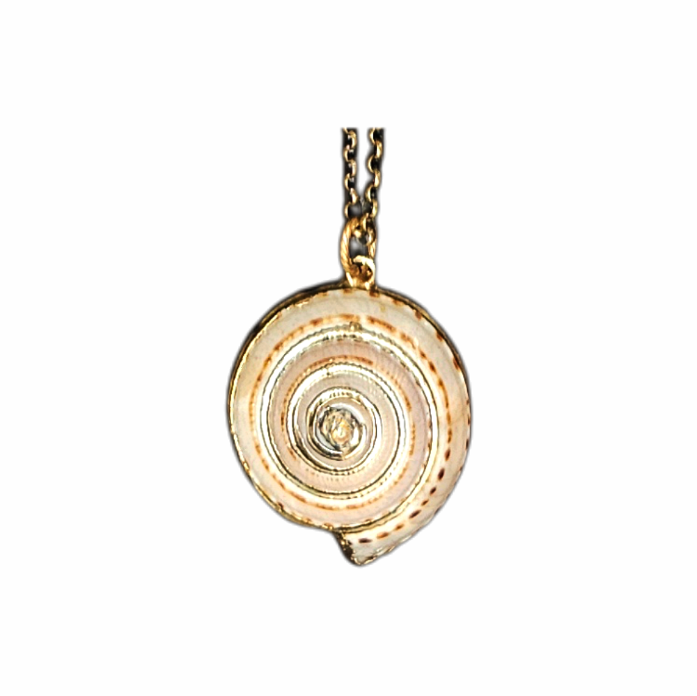 Vintage Shiva Eye Shell Spiral Pendant Necklace