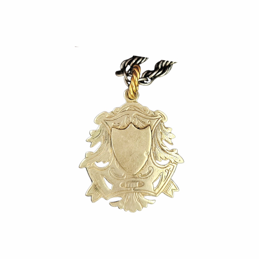 Vintage India silver heraldic shield pendant on twisted rope chain with pierced foliate detailing and aged mixed-metal finish.
