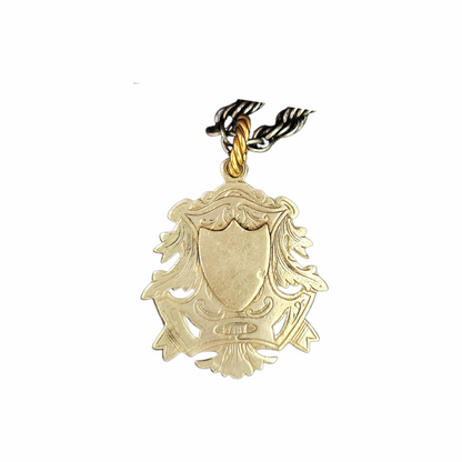 Vintage India silver heraldic shield pendant on twisted rope chain with pierced foliate detailing and aged mixed-metal finish.